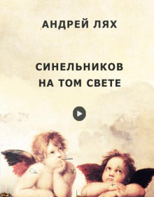 Синельников на том свете