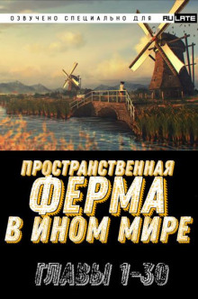Пространственная ферма в ином мире 1