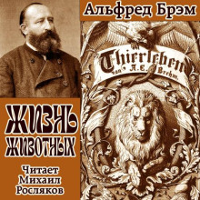 Жизнь животных
