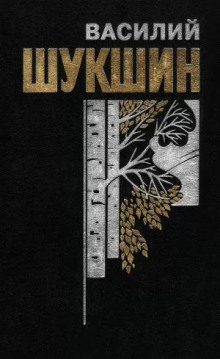 Космос, нервная система и шмат сала