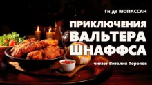 Приключения Вальтера Шнаффса