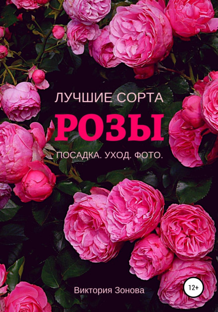 Roses: The Best Varieties