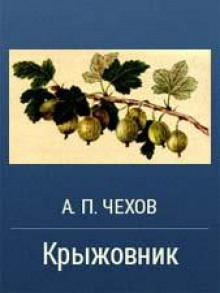Крыжовник