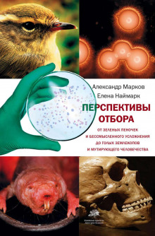Перспективы отбора. От зеленых пеночек и бессмысленного усложнения до голых землекопов и мутирующего человечества