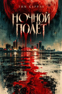 Ночной полёт
