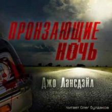 Пронзающие ночь