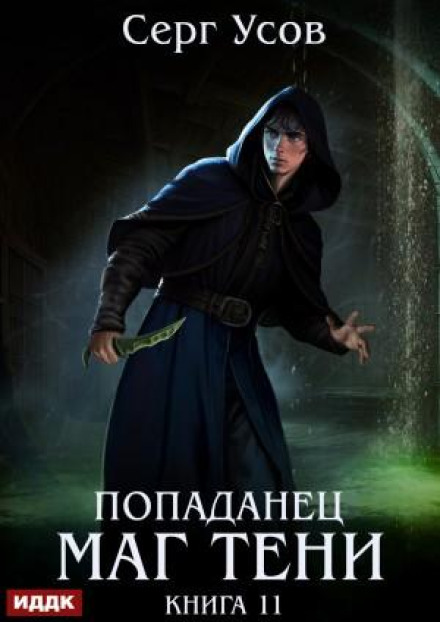 Попаданец. Маг Тени. Книга 11