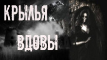 Крылья вдовы