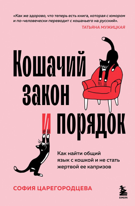 Котячий закон і порядок. Як знайти спільну мову з кішкою і не стати жертвою її примх