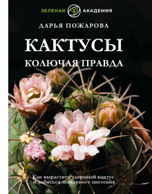 Кактусы. Колючая правда