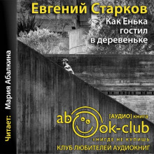 Как Енька гостил в деревеньке