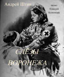 Слёзы Воронежа
