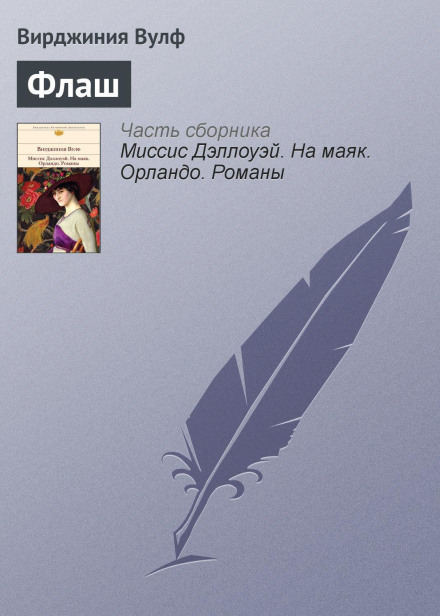 Флеш