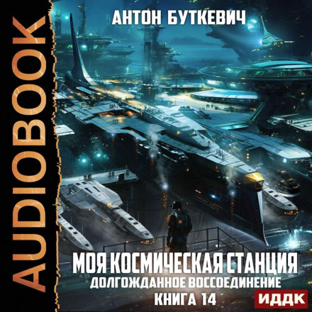 Моя Космическая Станция. Книга 14. Долгожданное воссоединение