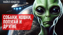 Собаки, кошки, попугаи и другие