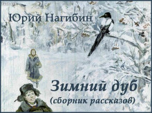 Зимний дуб. Рассказы