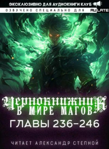 Чернокнижник в мире Магов 11