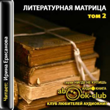 Литературная матрица: учебник, написанный писателями. Том 2