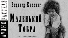 Маленький Тобра