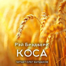 Коса
