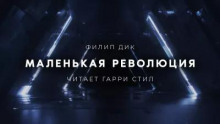 Маленькая революция