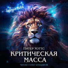 Критическая масса