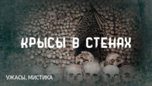 Крысы в стенах