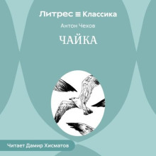 Чайка
