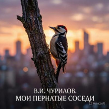 Мои пернатые соседи