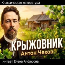 Крыжовник